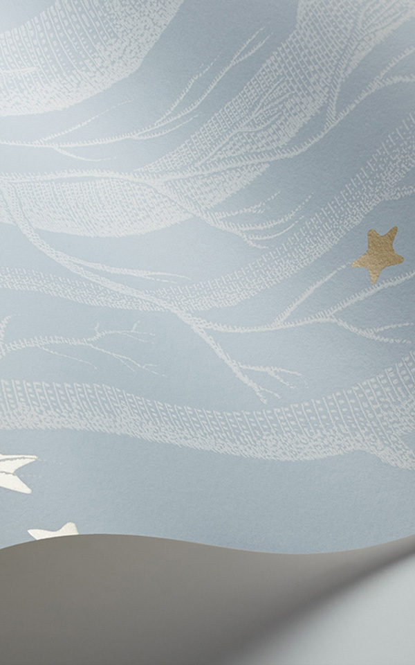 Woods & Stars 103-11051