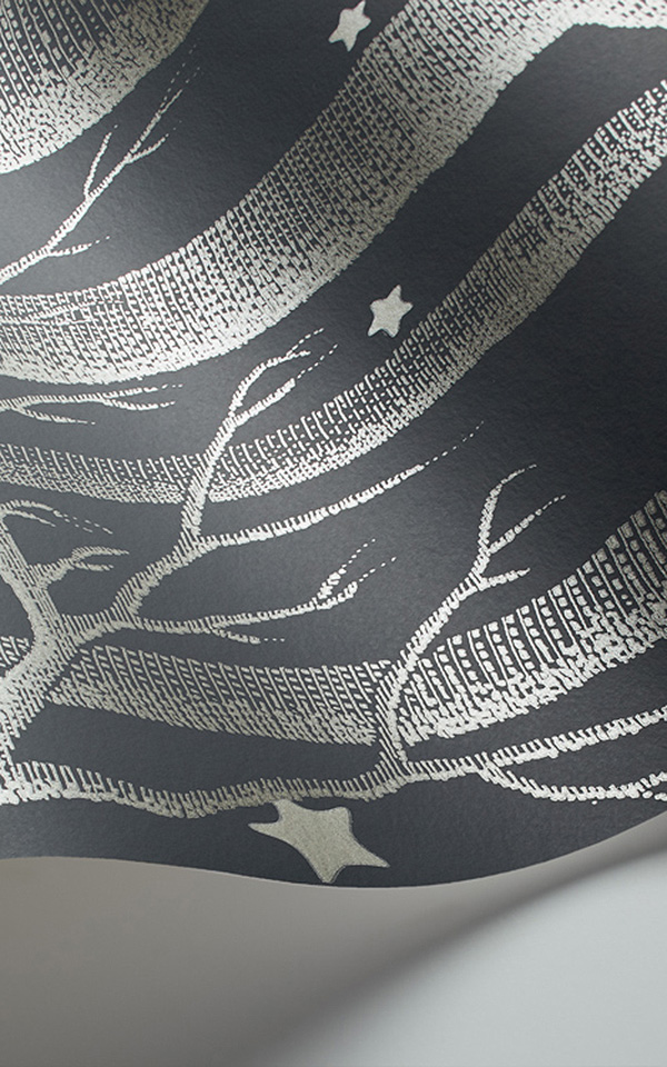 Woods & Stars 103-11053