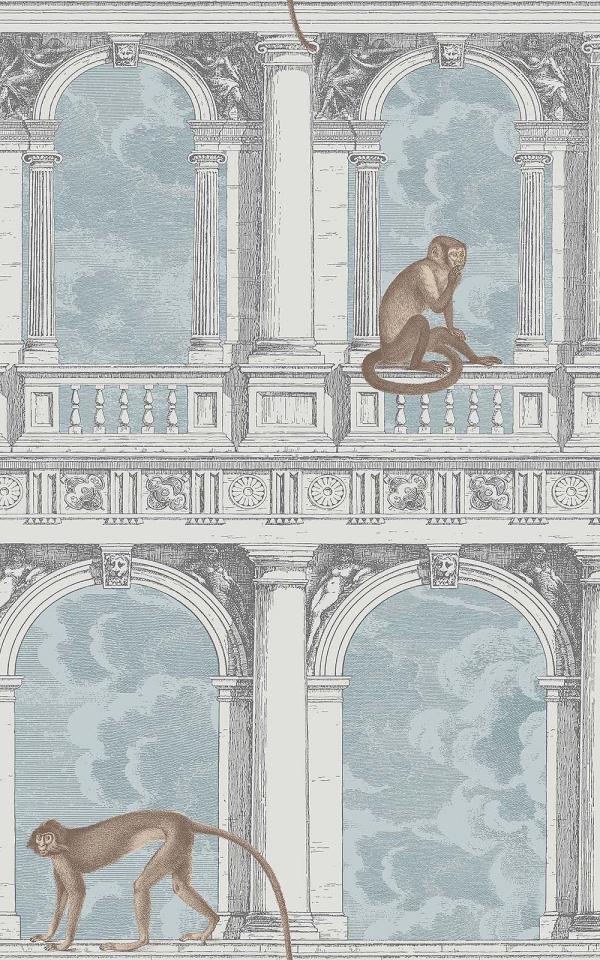 Procuratie Con Vista 114-8015