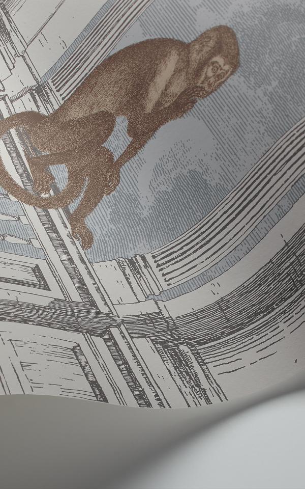 Procuratie Con Vista 114-8015