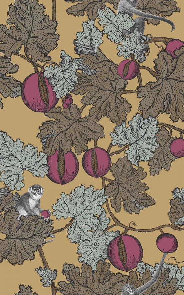 Frutto Proibito 114-25049