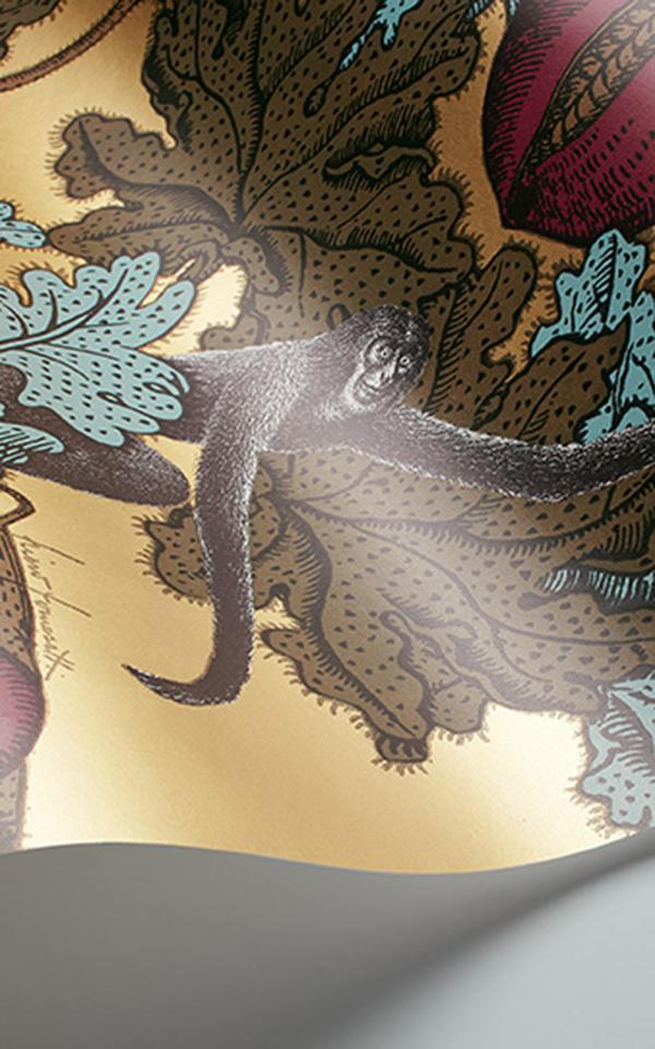 Frutto Proibito 114-25049