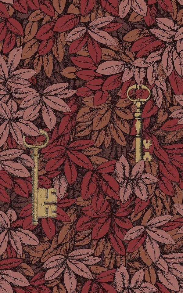 Chiavi Segrete 114-9019