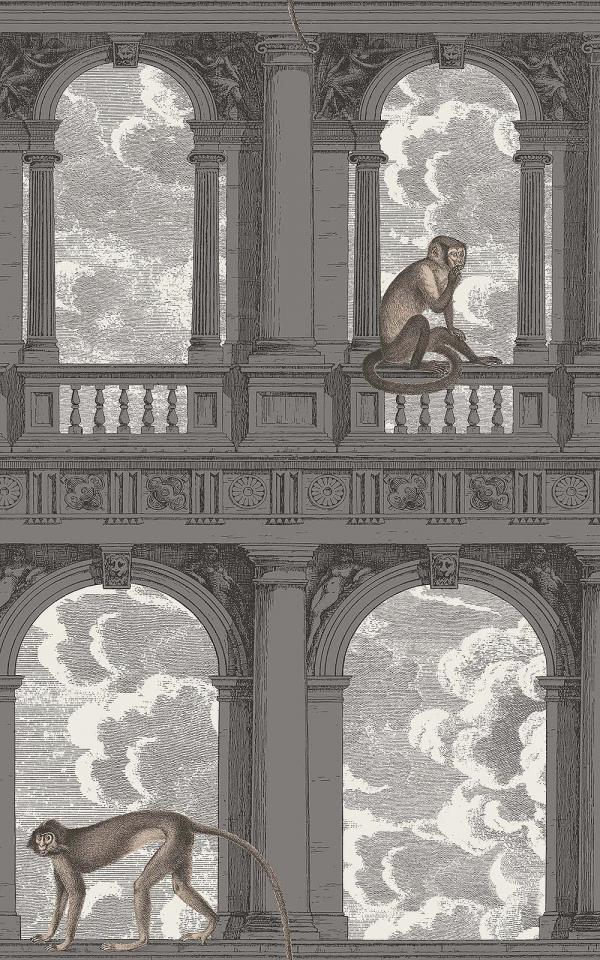 Procuratie Con Vista 114-8016