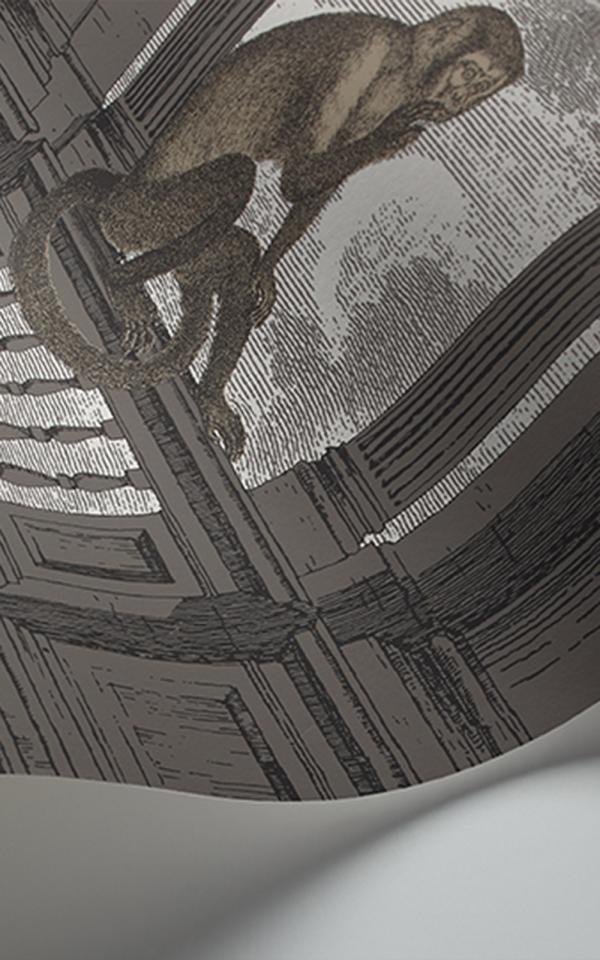 Procuratie Con Vista 114-8016