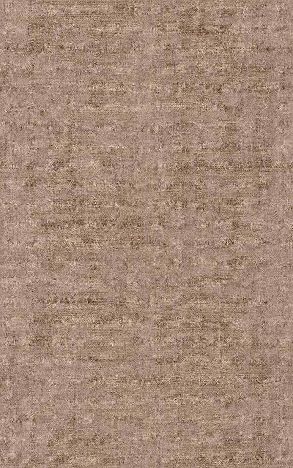 Johara- LATTE / LATTE 