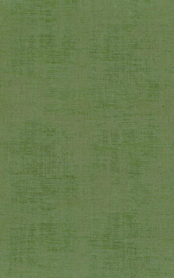 Johara- GARDEN PEAS / GARDEN PEA