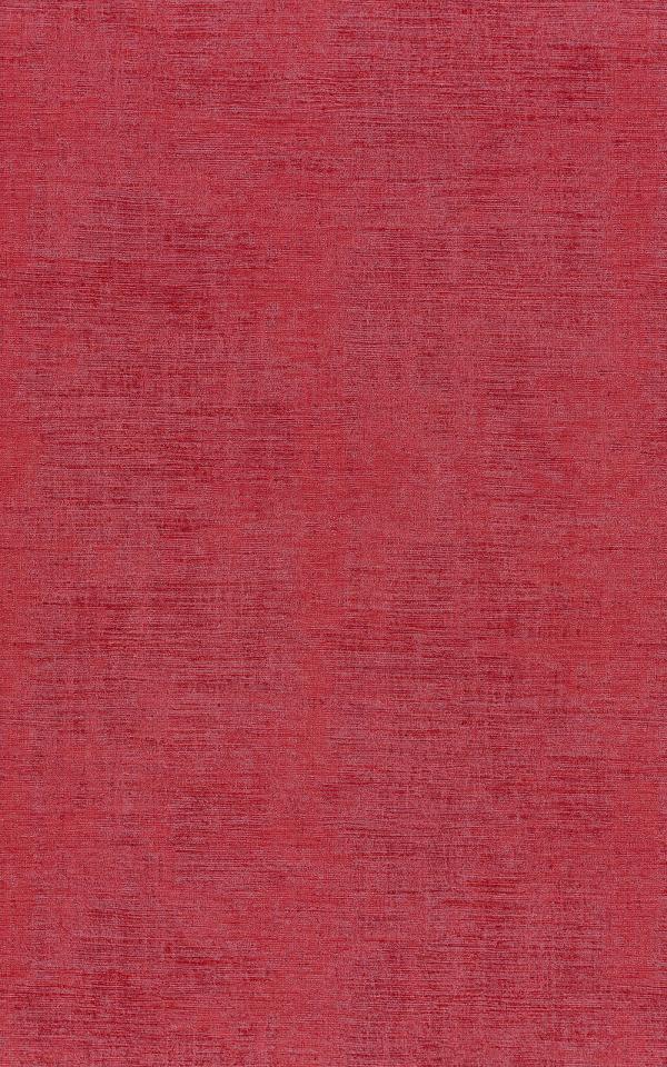 Johara- ROSE MAHARADJAH / PINK MAHARADJAH  