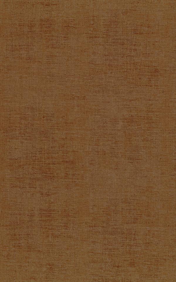 Johara - ECUREUIL / SQUIRREL