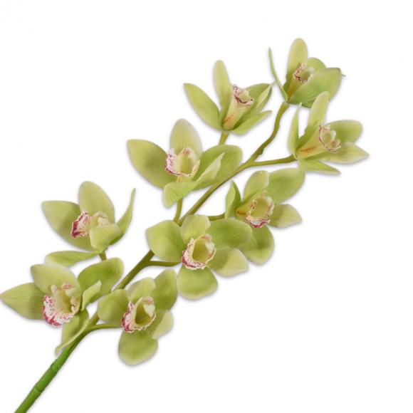 Silk-Ka CYMBIDIUM SPRAY Green 83cm 144101 green