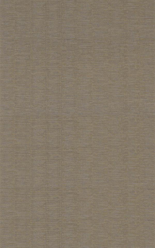 PLATINUM  - Acier / Steel 