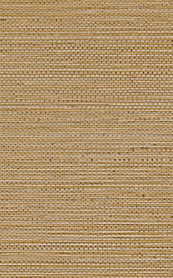 ZOSTERA - Mordore / Mordore 