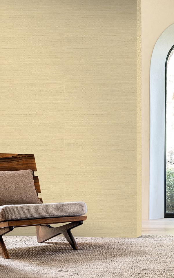 ZOSTERA - Coquille / Shell