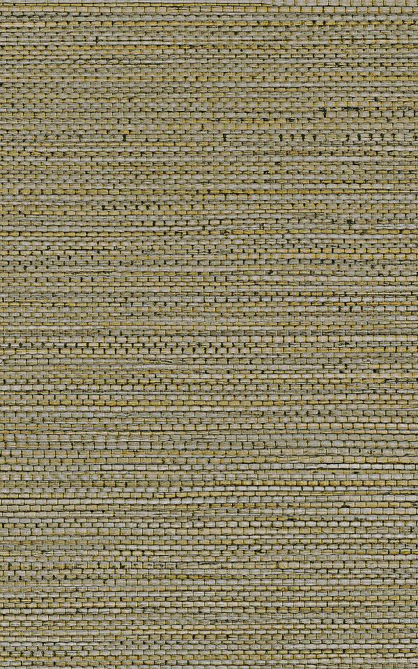 ZOSTERA - Kaki / Khaki