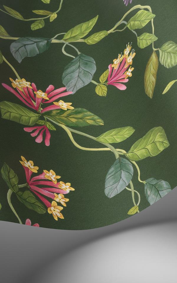 Hummingbirds 100/14068