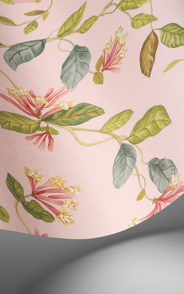 Hummingbirds 100/14071