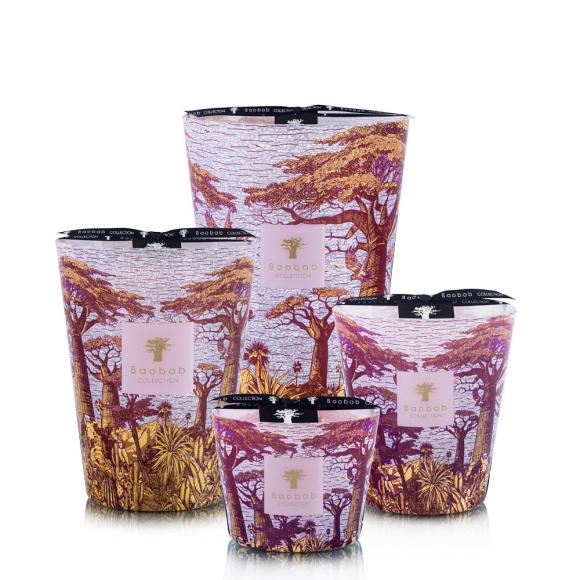 Baobab Collection Massasso Candle - Sacred Trees Summer Collection Max 16, 150 hours Lilac & Brown
