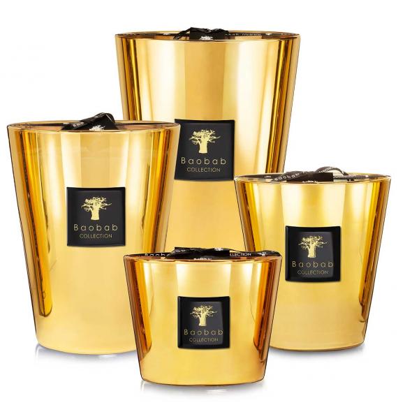 Baobab Collection Aurum Candle - Exclusive Collection  Maxi Max, 800 Hours Gold