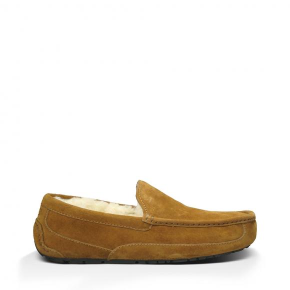 UGG Ascot Chestnut UK size 7 / US size 8 Chestnut CHE