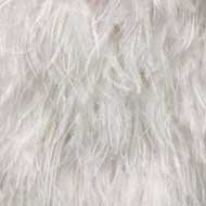 Ostrich Feather White