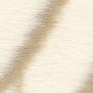 Blumarine St. Moritz Faux-Fur Throw  Throw in faux-fur with a jacquard logo 190/140cm 10401 0087 5 ecru