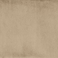 Beige 20