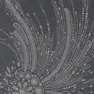 Graphite 13