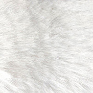 Snow 08