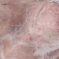 Pink Indian Onyx | JACKPIN01