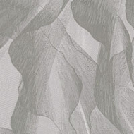 Griffon 19