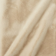 Noisette