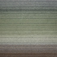 55 ivy | blue | brown