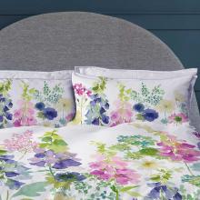 Bluebellgray Foxglove