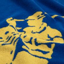 Ralph Lauren Home Polo Jacquard Beach Towel Iris Blue / Yellow