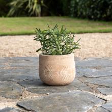 Nkuku Zadie Etched, Neutral Ceramic Planter