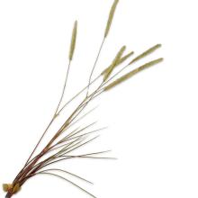 Silk-Ka GRASS SPRAY Grn It 101cm
