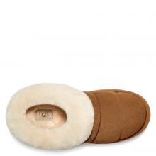 UGG W Tazzlita Chestnut