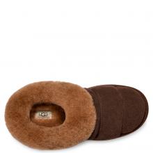 UGG W Tazzlita Hardwood