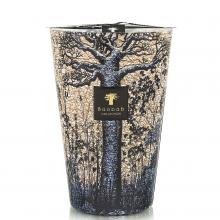 Baobab Collection Seguela Candle - Sacred Trees Collection