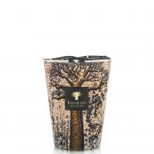 Baobab Collection Morondo Candle - Sacred Trees Collection 