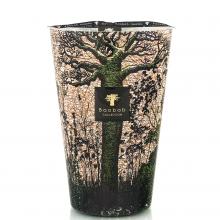 Baobab Collection Kani Candle - Sacred Trees Collection