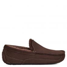 UGG Ascot Dusted Cocoa