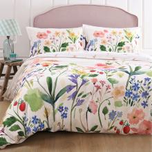 Bluebellgray Berneray