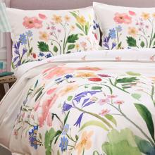 Bluebellgray Berneray