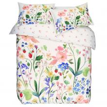 Bluebellgray Berneray