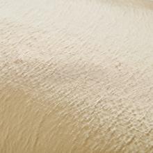 Laura Ashley Carys Cushion Mustard Yellow