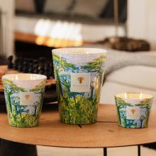 Baobab Collection Yarani Candle - Sacred Trees Summer Collection