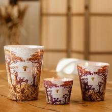 Baobab Collection Massasso Candle - Sacred Trees Summer Collection