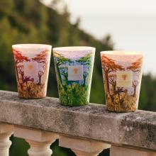 Baobab Collection Massasso Candle - Sacred Trees Summer Collection