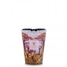 Baobab Collection Massasso Candle - Sacred Trees Summer Collection